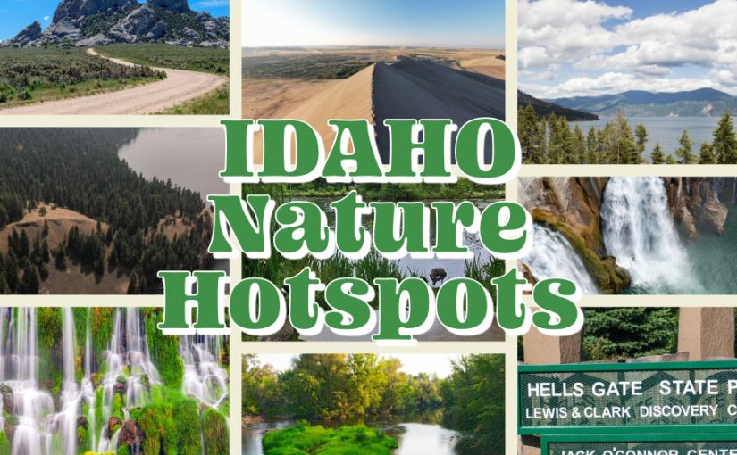 Discover the Best Parks Across Idaho: Natural Wonders Worth the Drive
