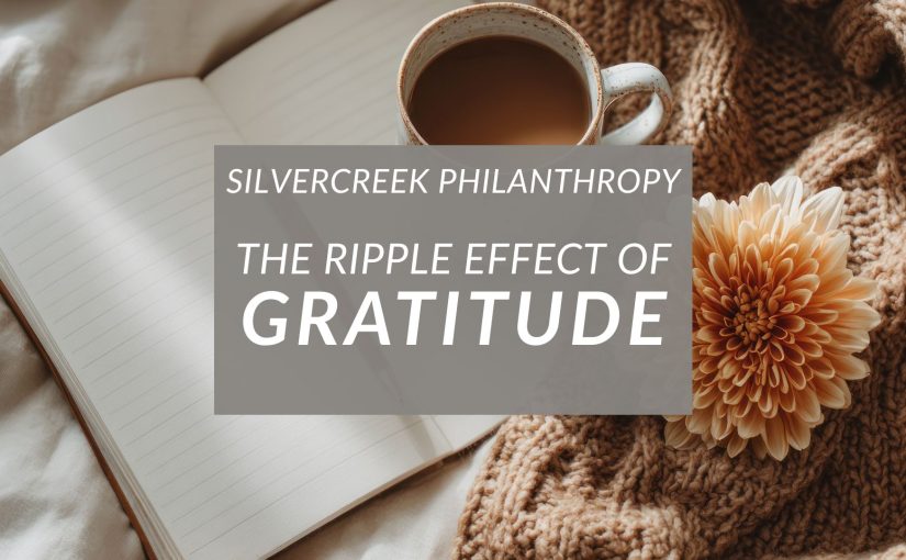 The Ripple Effect of Gratitude: How Simple Thanks Strengthen Communities