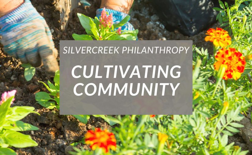Cultivating Community: Your Summer Service Roadmap